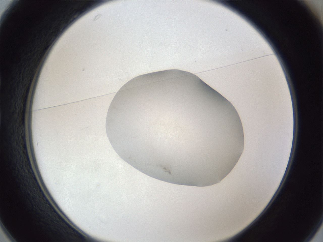folderID929_plateID929_batchID1268_wellNum25_profileID1_d1_r34011_ef.jpg
