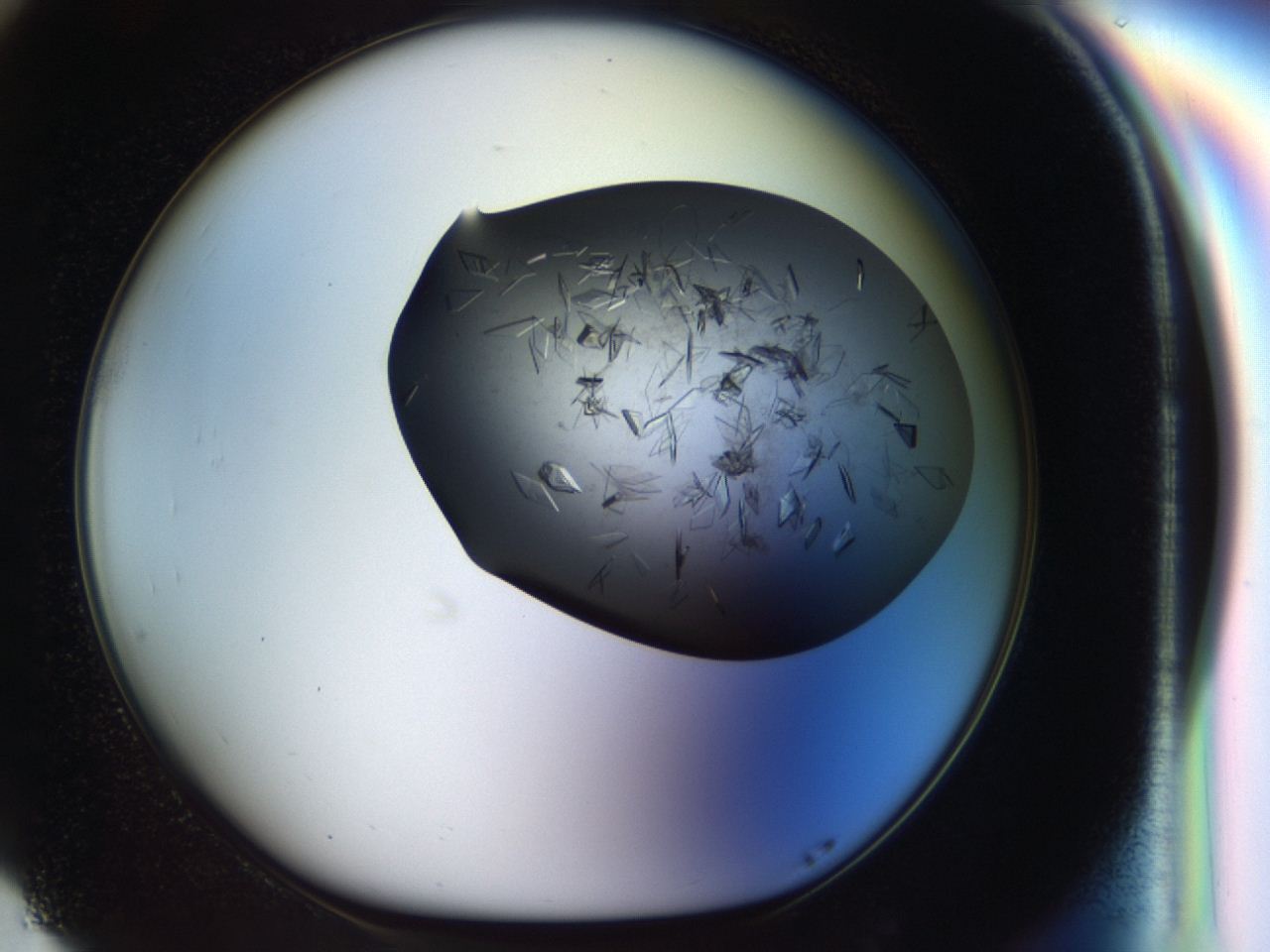 04cr_G5_ImagerDefaults_7.jpg