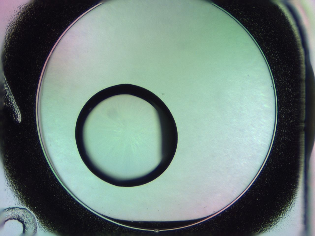 0170_A12_ImagerDefaults_0.jpg