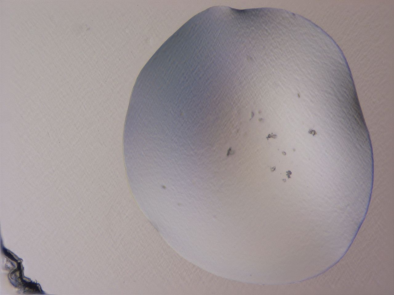 04cs_A2_ImagerDefaults_0.jpg