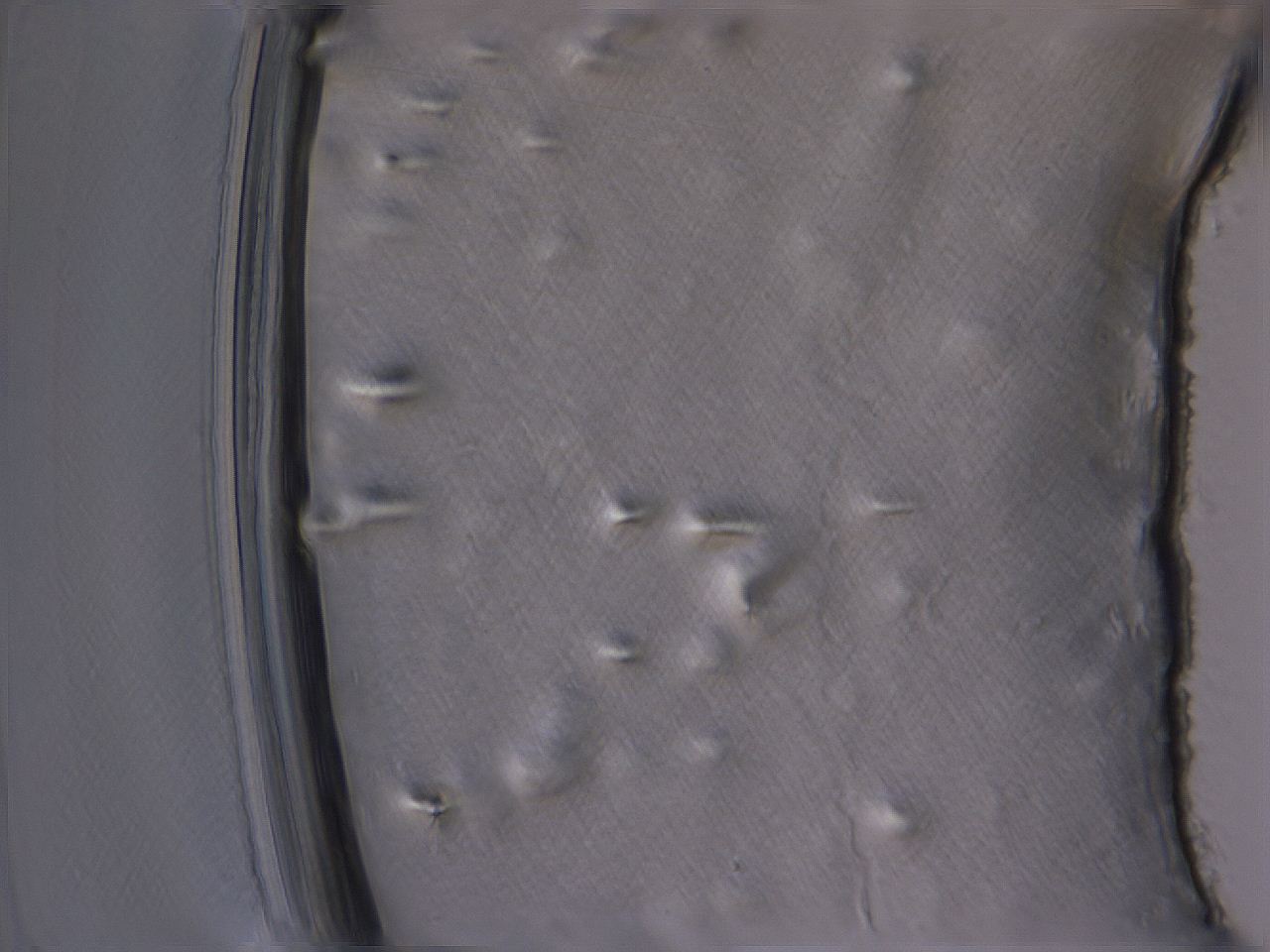 04cs_A5_ImagerDefaults_3.jpg