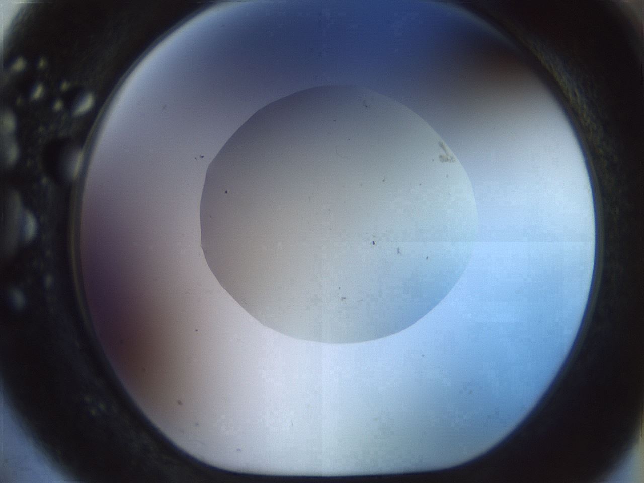folderID932_plateID1932_batchID8307_wellNum75_profileID1_d1_r128987_ef.jpg