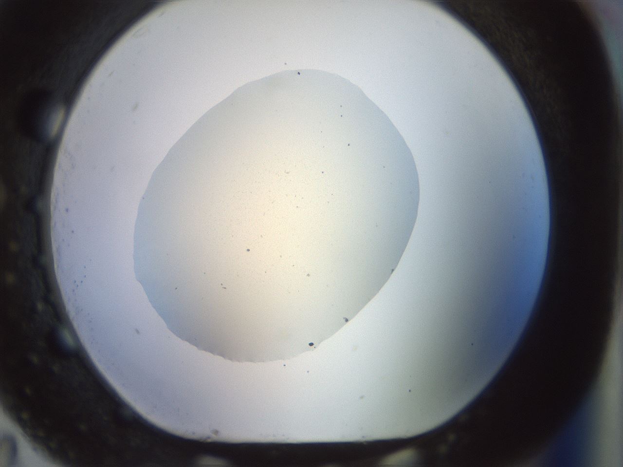 folderID932_plateID1932_batchID8307_wellNum83_profileID1_d1_r128995_ef.jpg