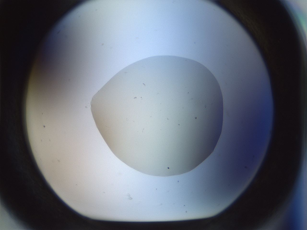folderID932_plateID1932_batchID8336_wellNum92_profileID1_d1_r129004_ef.jpg