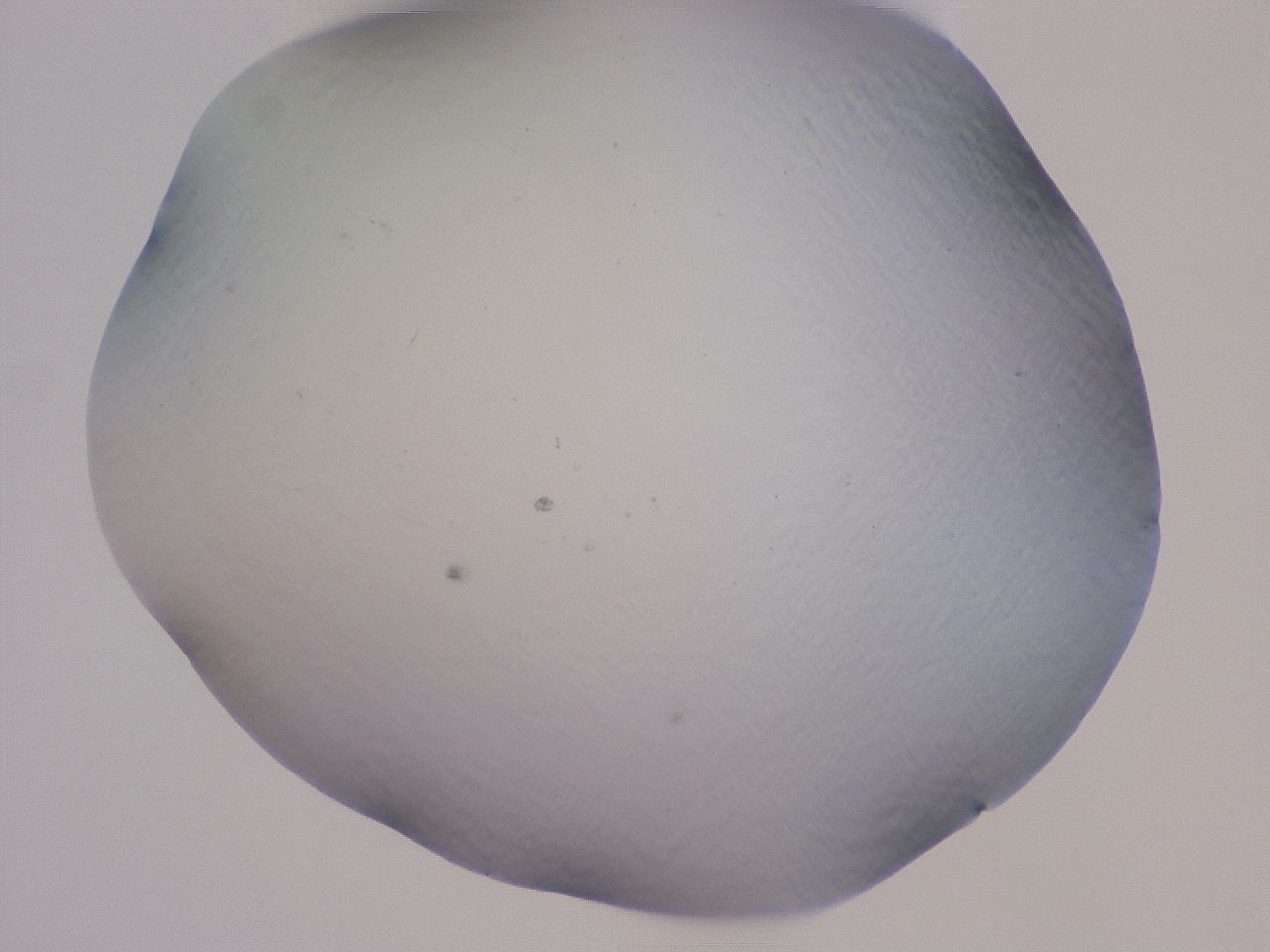 04cs_B2_ImagerDefaults_0.jpg