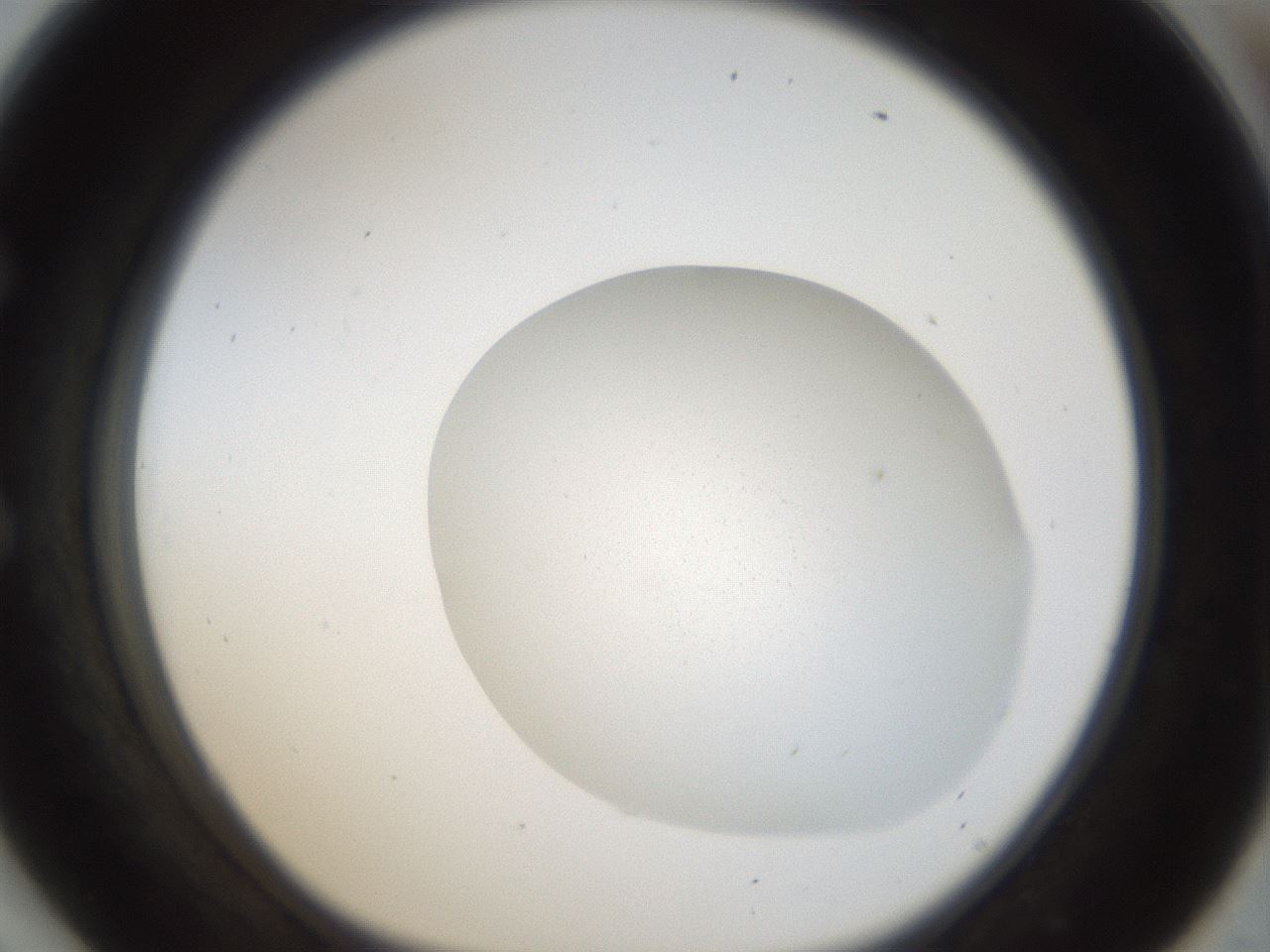 folderID932_plateID932_batchID1272_wellNum54_profileID1_d1_r34424_ef.jpg