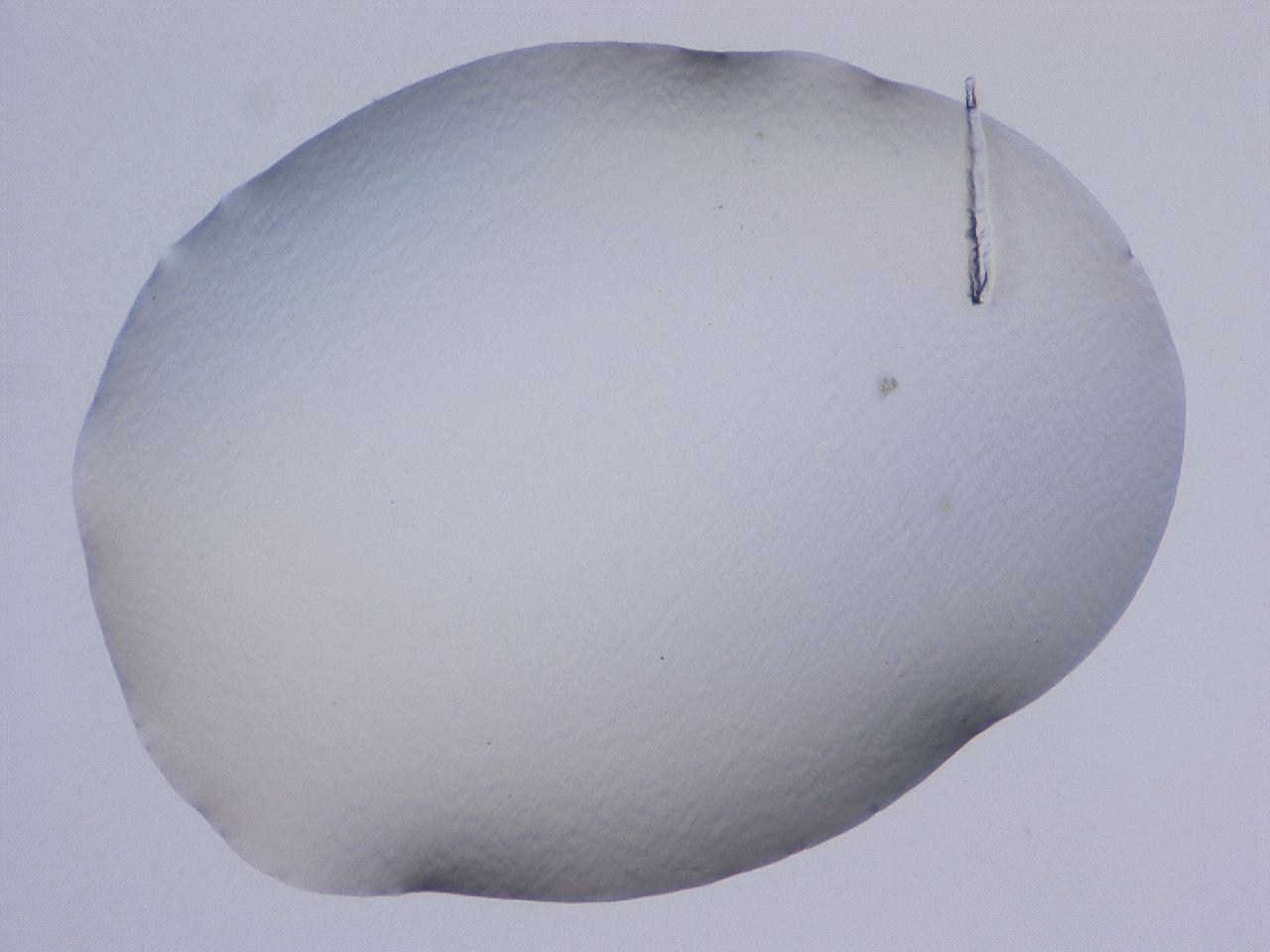 04cs_B7_ImagerDefaults_0.jpg