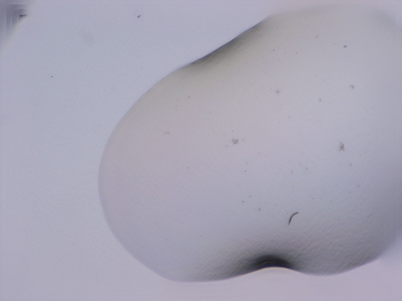 04cs_B9_ImagerDefaults_0.jpg