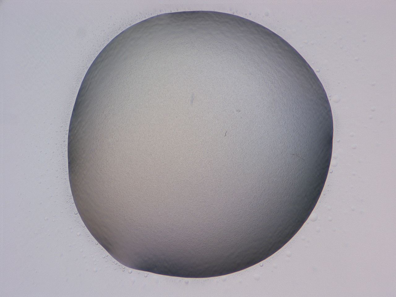 04cs_B10_ImagerDefaults_0.jpg