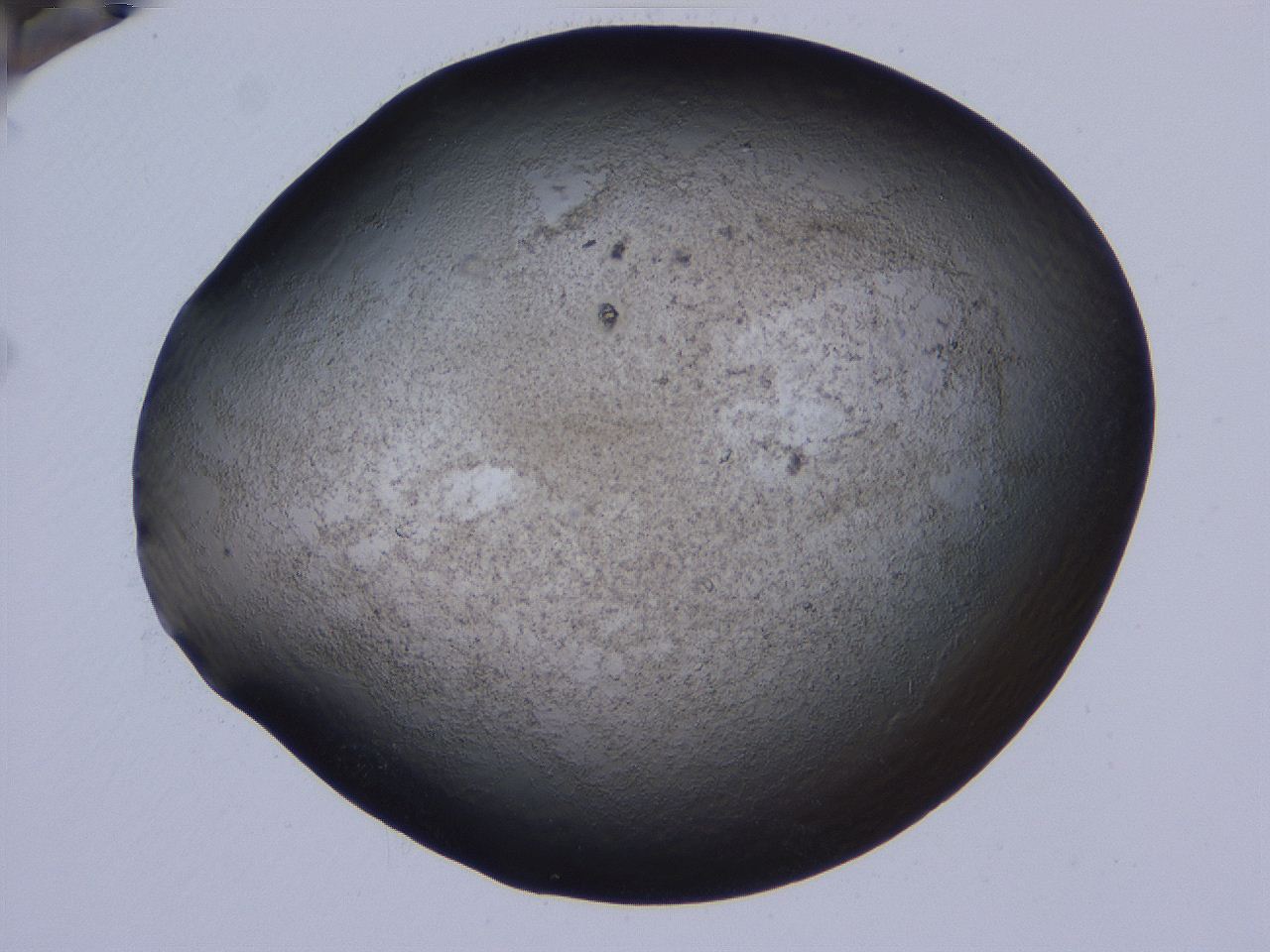 04cs_B11_ImagerDefaults_3.jpg