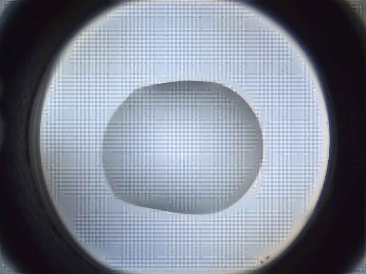 folderID934_plateID934_batchID1156_wellNum77_profileID1_d1_r34619_ef.jpg