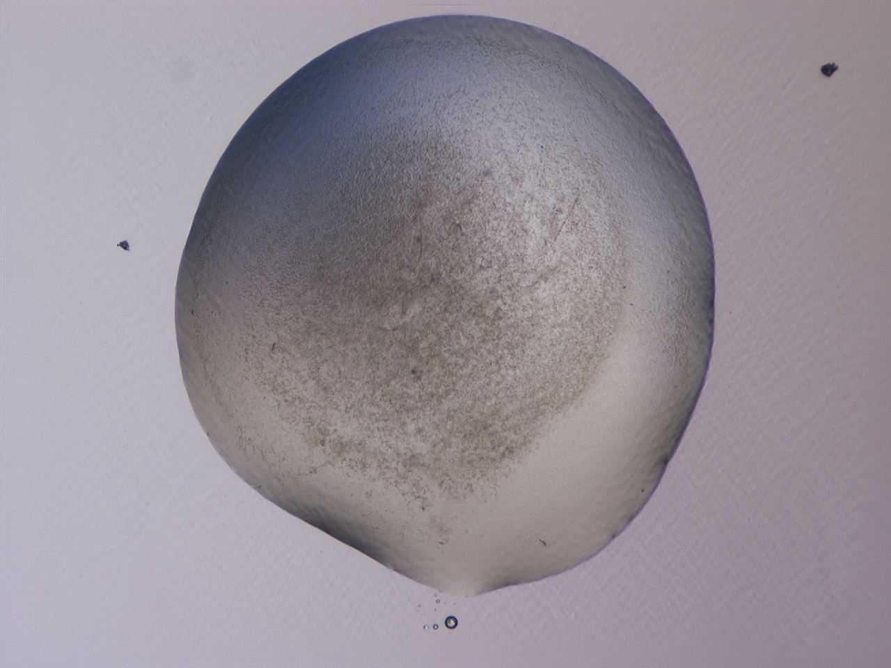04cs_A9_ImagerDefaults_3.jpg