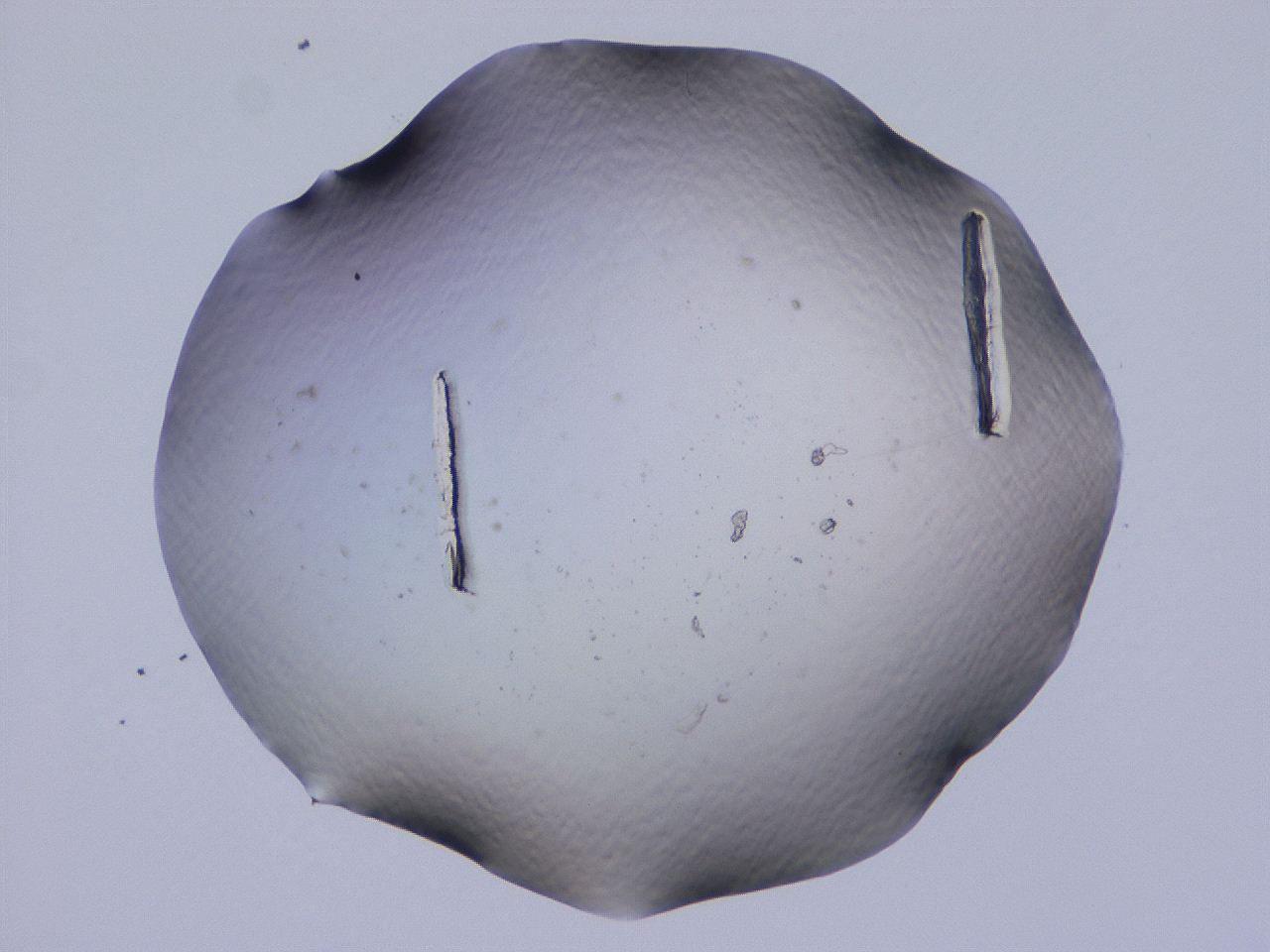 04cs_C1_ImagerDefaults_0.jpg