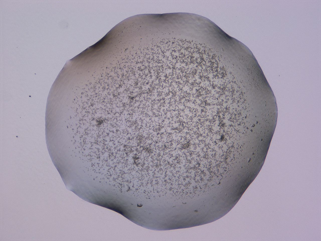 04cs_C2_ImagerDefaults_3.jpg