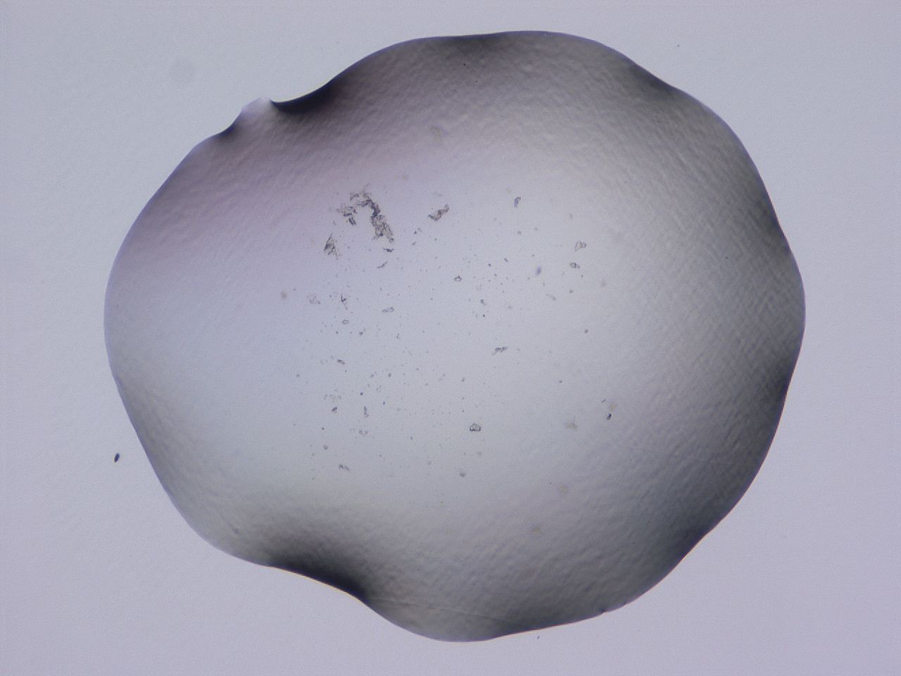 04cs_C4_ImagerDefaults_0.jpg