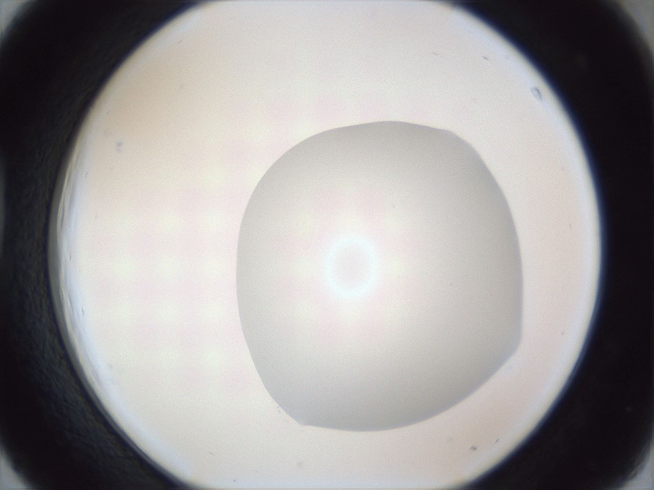 folderID927_plateID927_batchID1266_wellNum39_profileID1_d1_r33775_ef.jpg