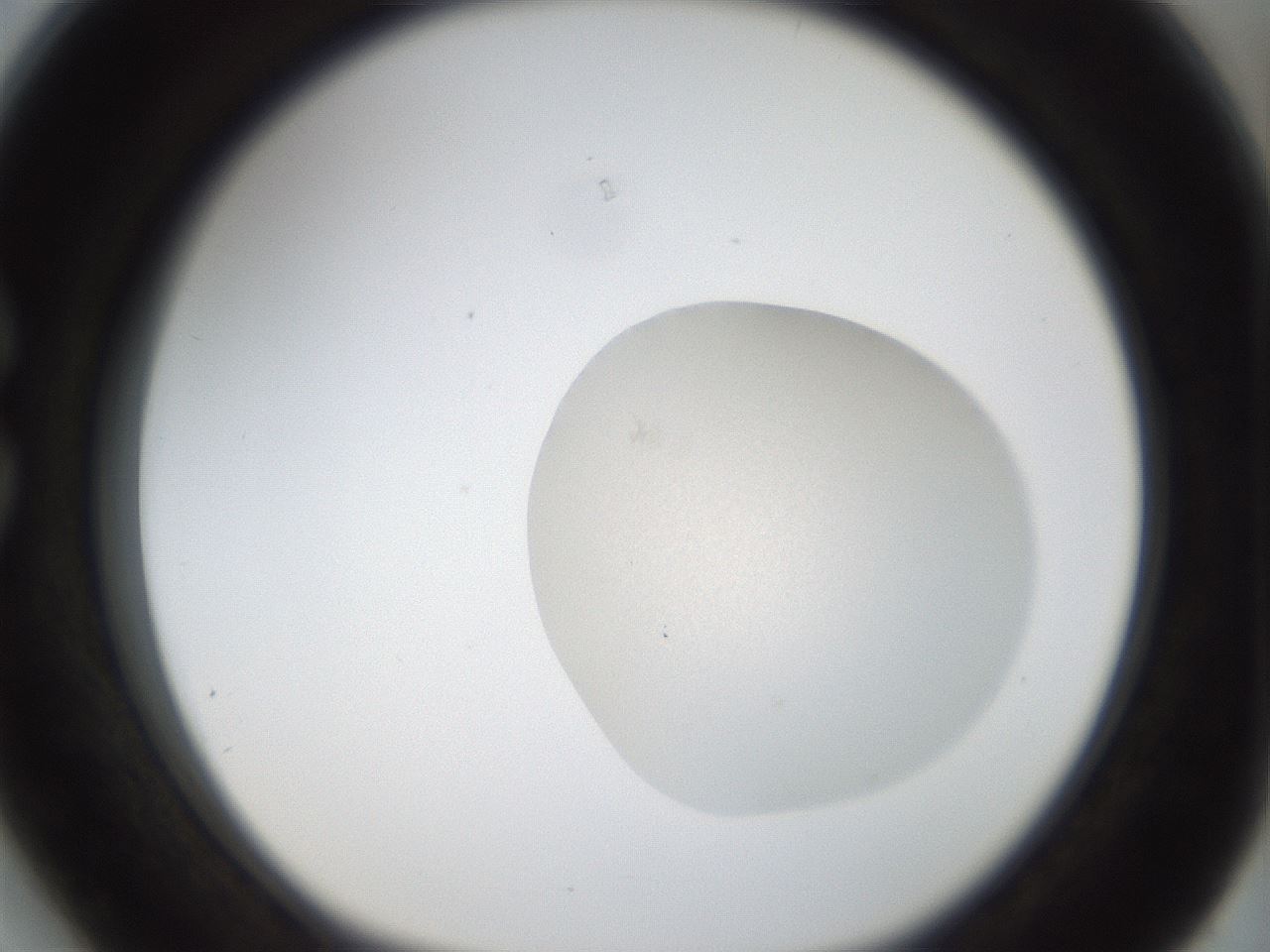 folderID932_plateID932_batchID1220_wellNum27_profileID1_d1_r34397_ef.jpg