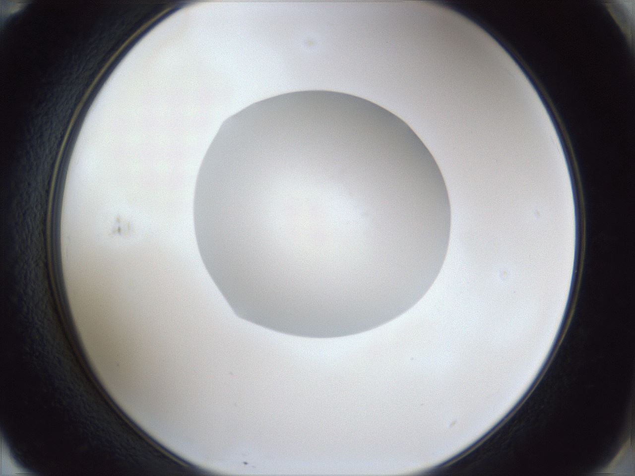 folderID934_plateID934_batchID1279_wellNum71_profileID1_d2_r34608_ef.jpg