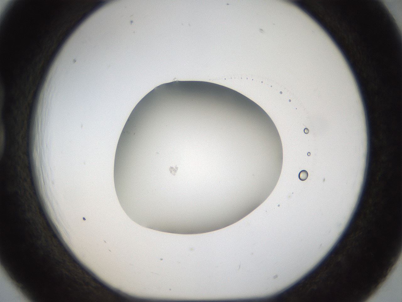 folderID935_plateID935_batchID1180_wellNum18_profileID1_d1_r34693_ef.jpg