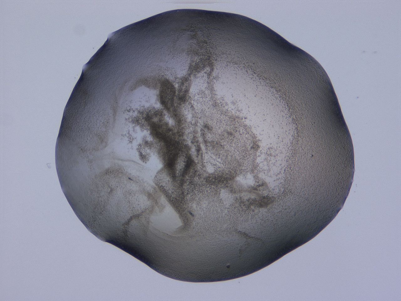 04cs_E10_ImagerDefaults_3.jpg