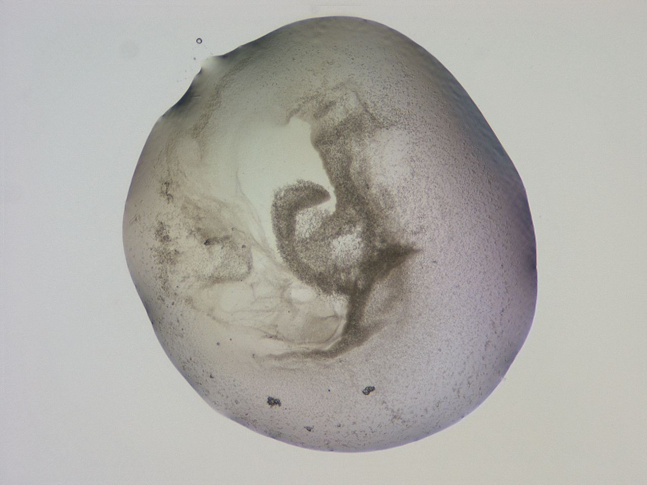 04cs_G6_ImagerDefaults_3.jpg