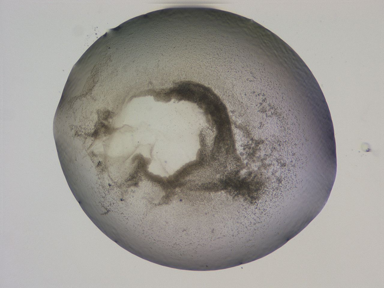 04cs_G10_ImagerDefaults_3.jpg