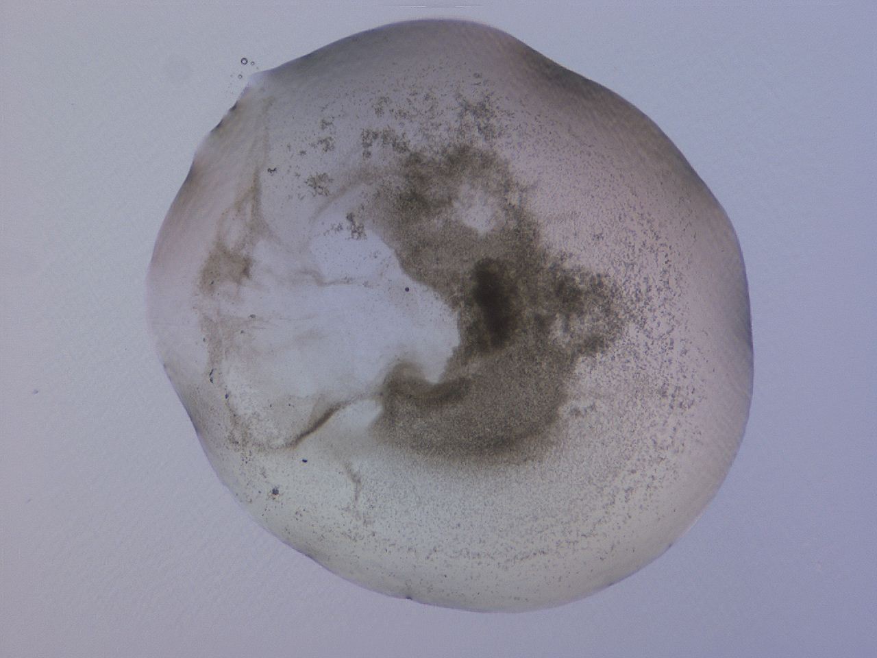 04cs_G11_ImagerDefaults_3.jpg