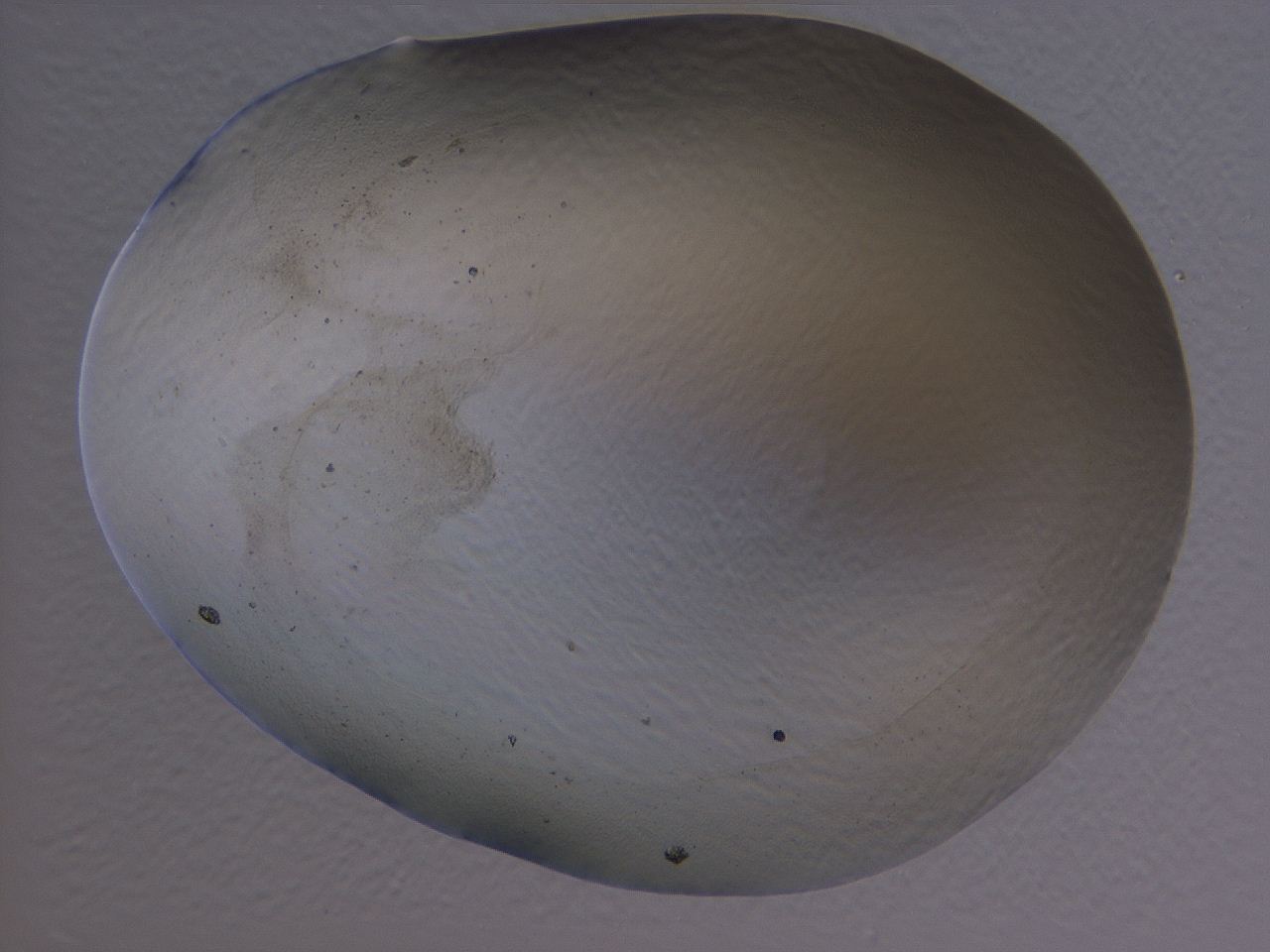 04cs_H5_ImagerDefaults_0.jpg