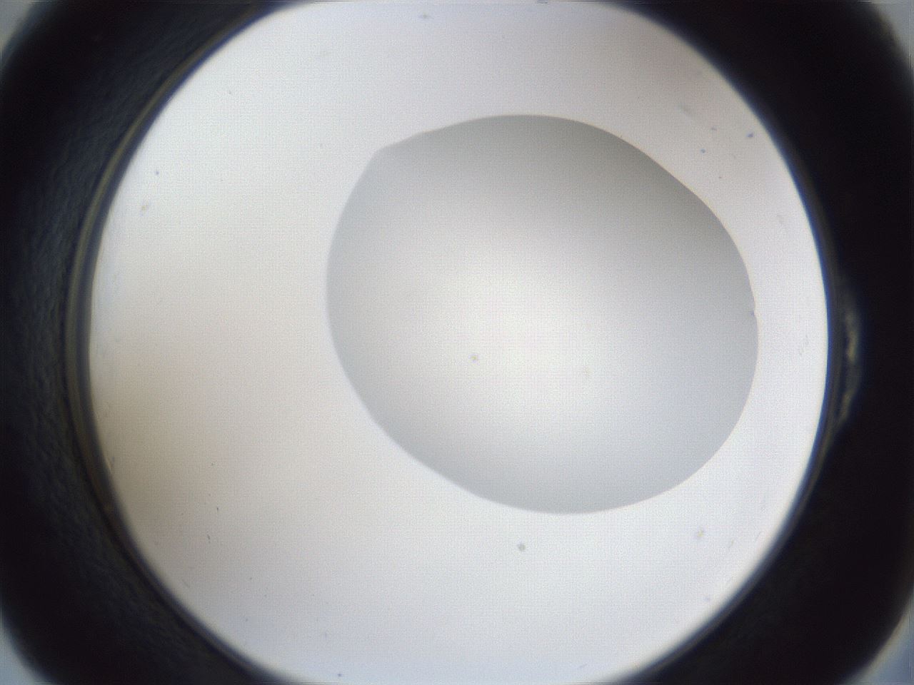 folderID936_plateID936_batchID1284_wellNum54_profileID1_d2_r34958_ef.jpg