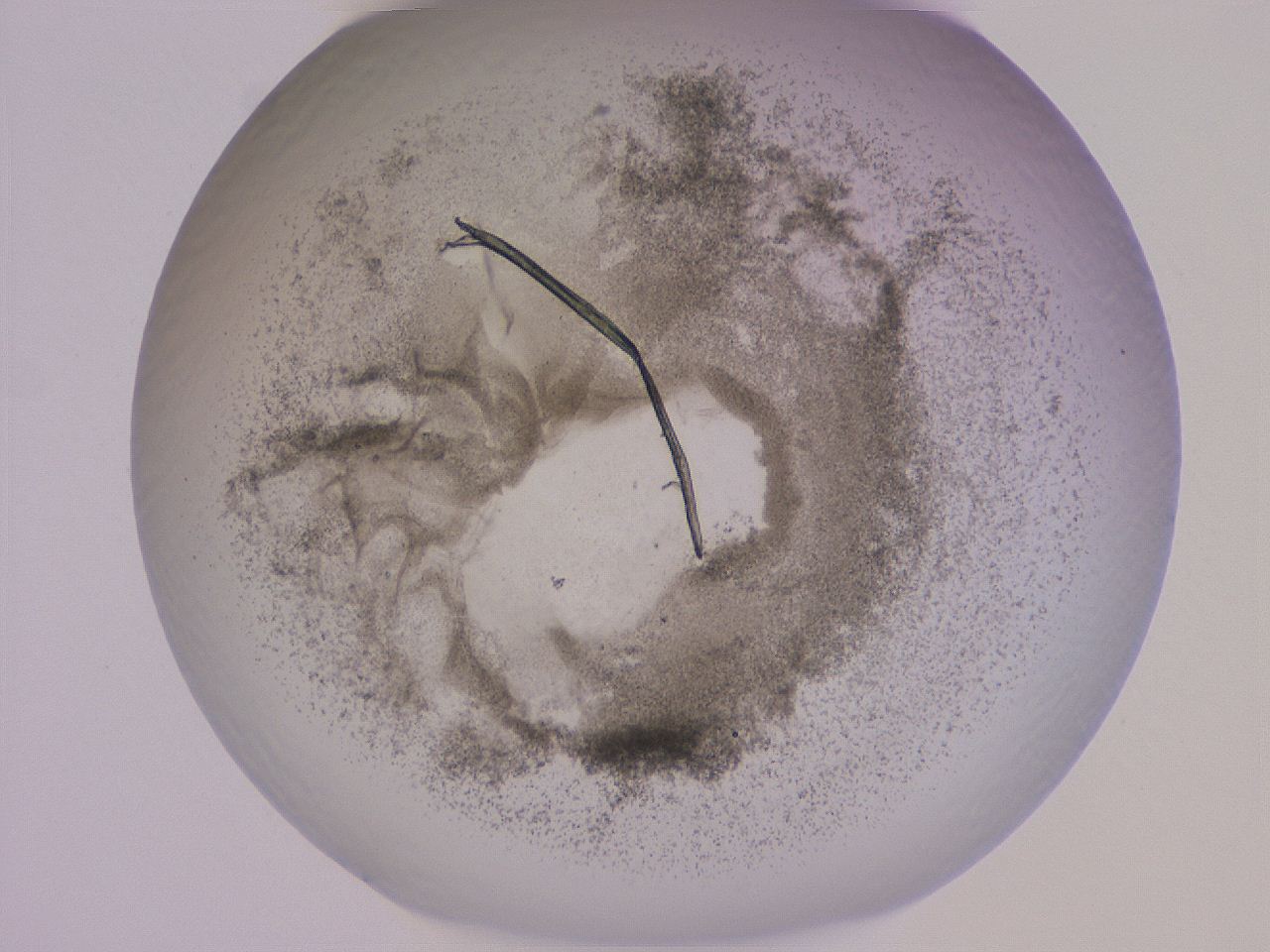 04cs_H10_ImagerDefaults_3.jpg