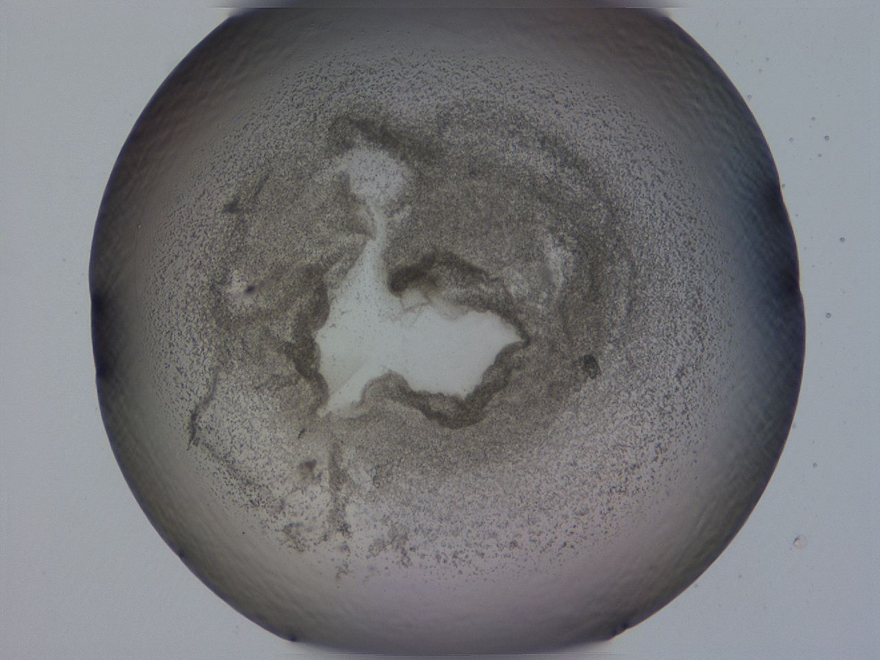04cs_H11_ImagerDefaults_3.jpg