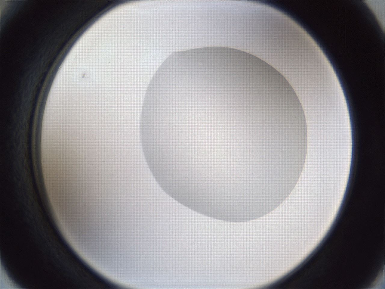 folderID936_plateID936_batchID1544_wellNum66_profileID1_d2_r34982_ef.jpg