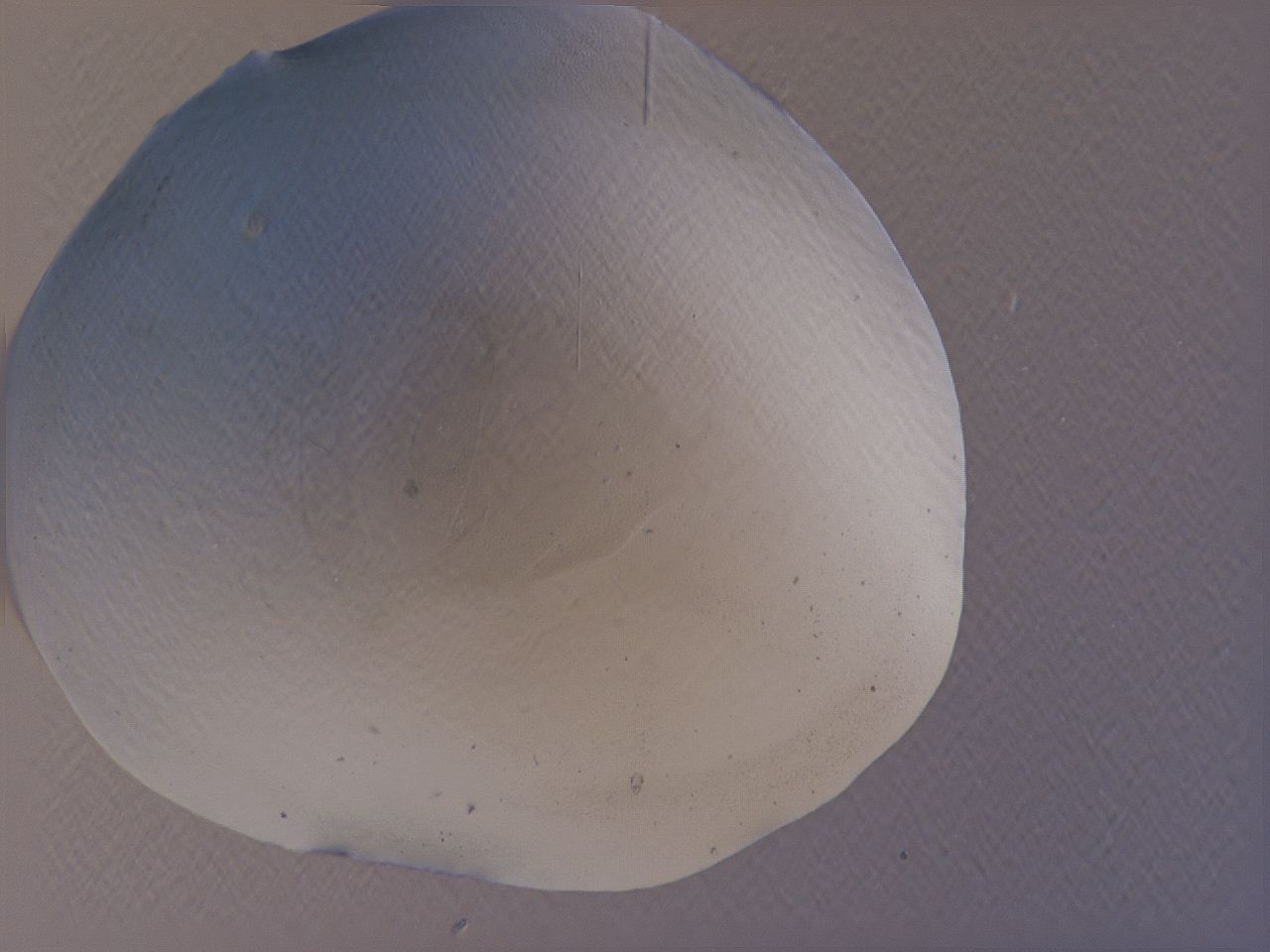 04cu_A10_ImagerDefaults_3.jpg