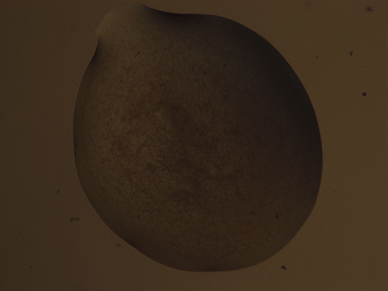 04cu_A11_ImagerDefaults_3.jpg