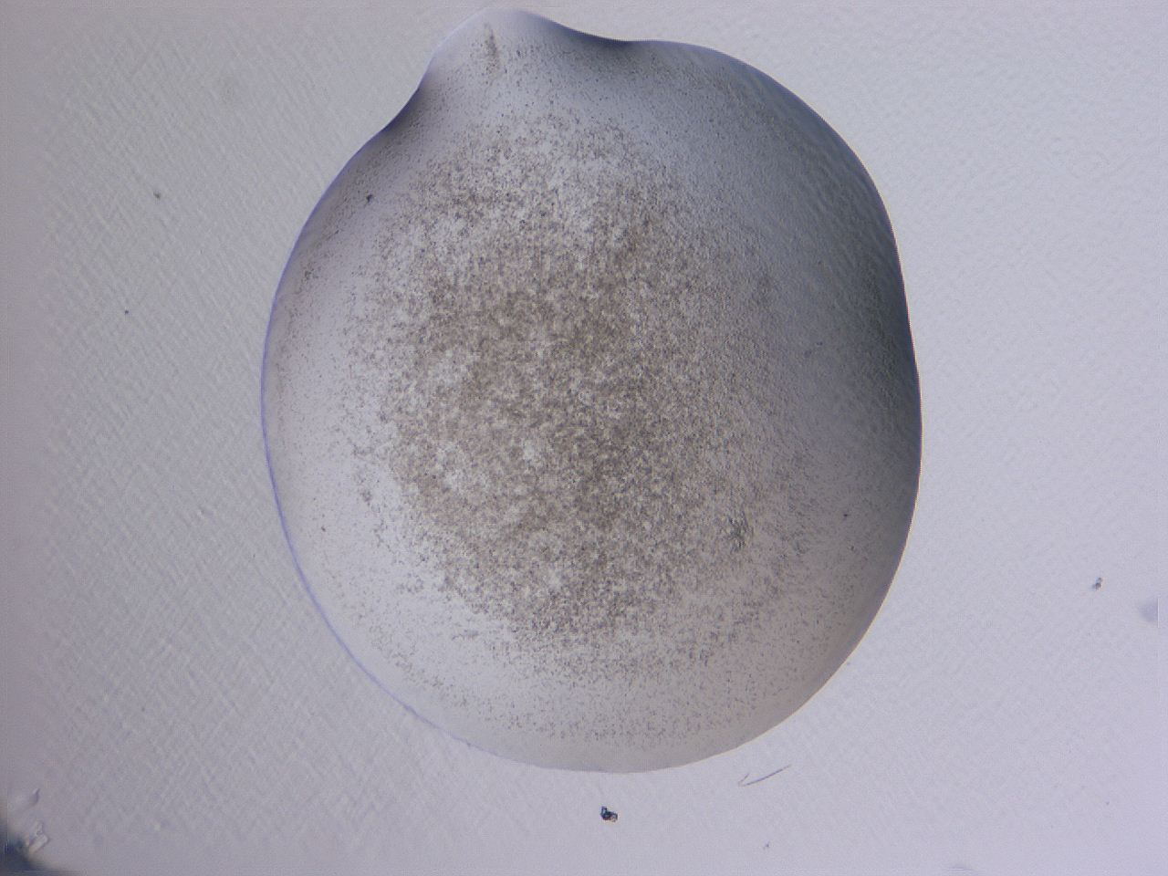 04cu_A12_ImagerDefaults_3.jpg