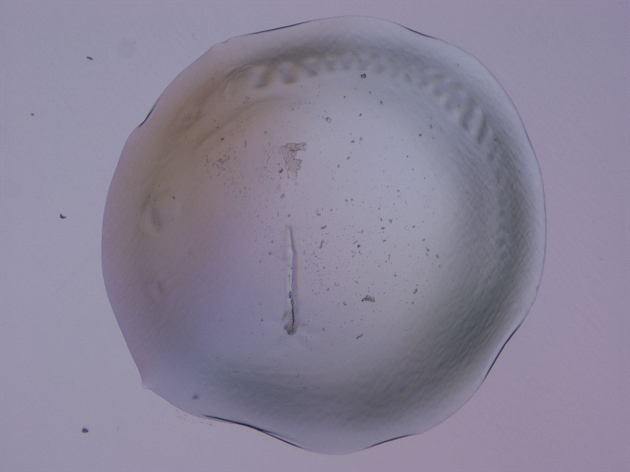04cu_B1_ImagerDefaults_0.jpg