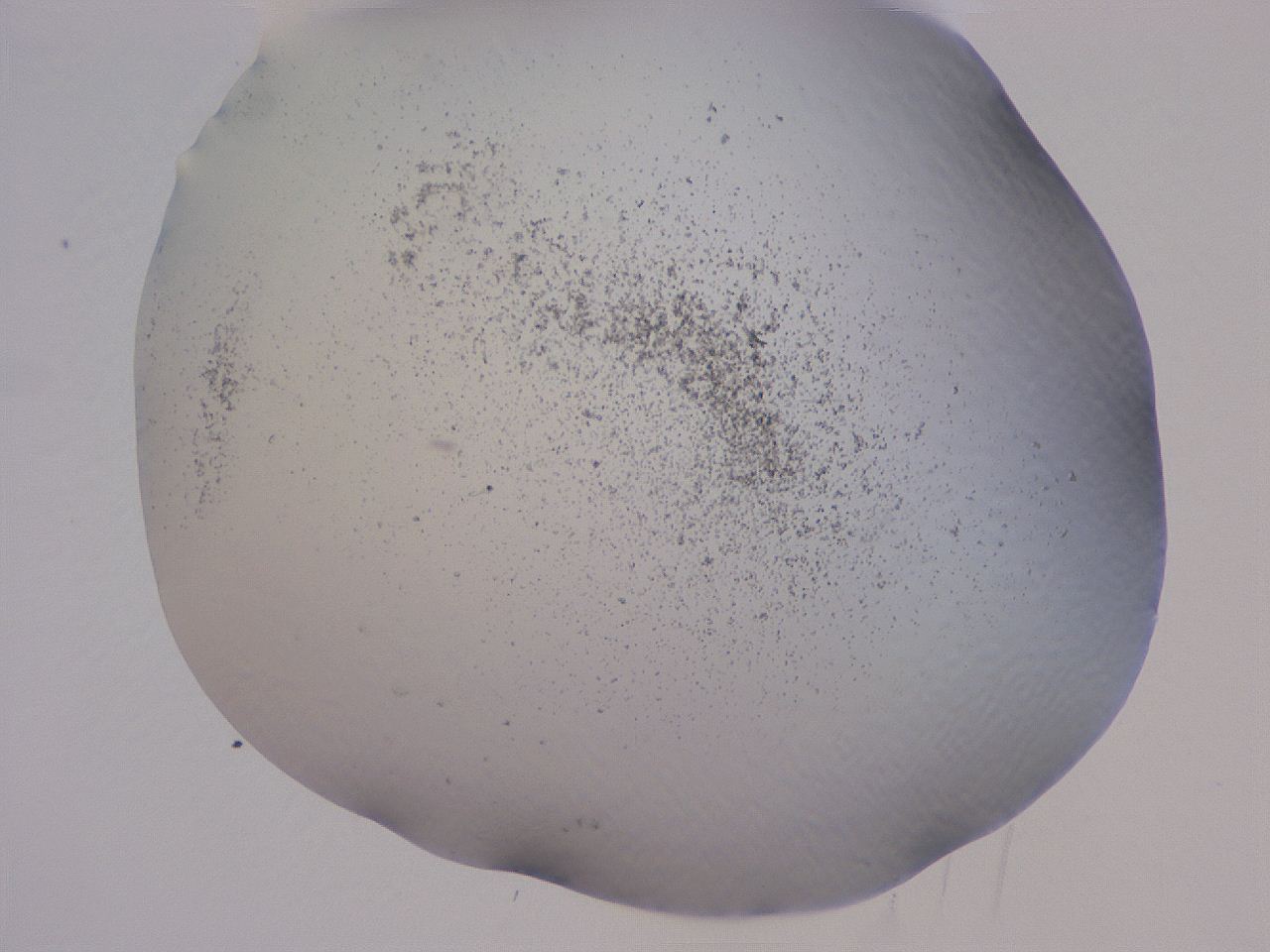 04cu_B3_ImagerDefaults_3.jpg