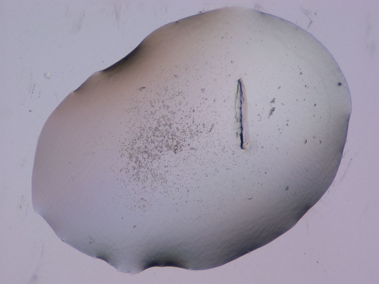 04cu_B5_ImagerDefaults_3.jpg