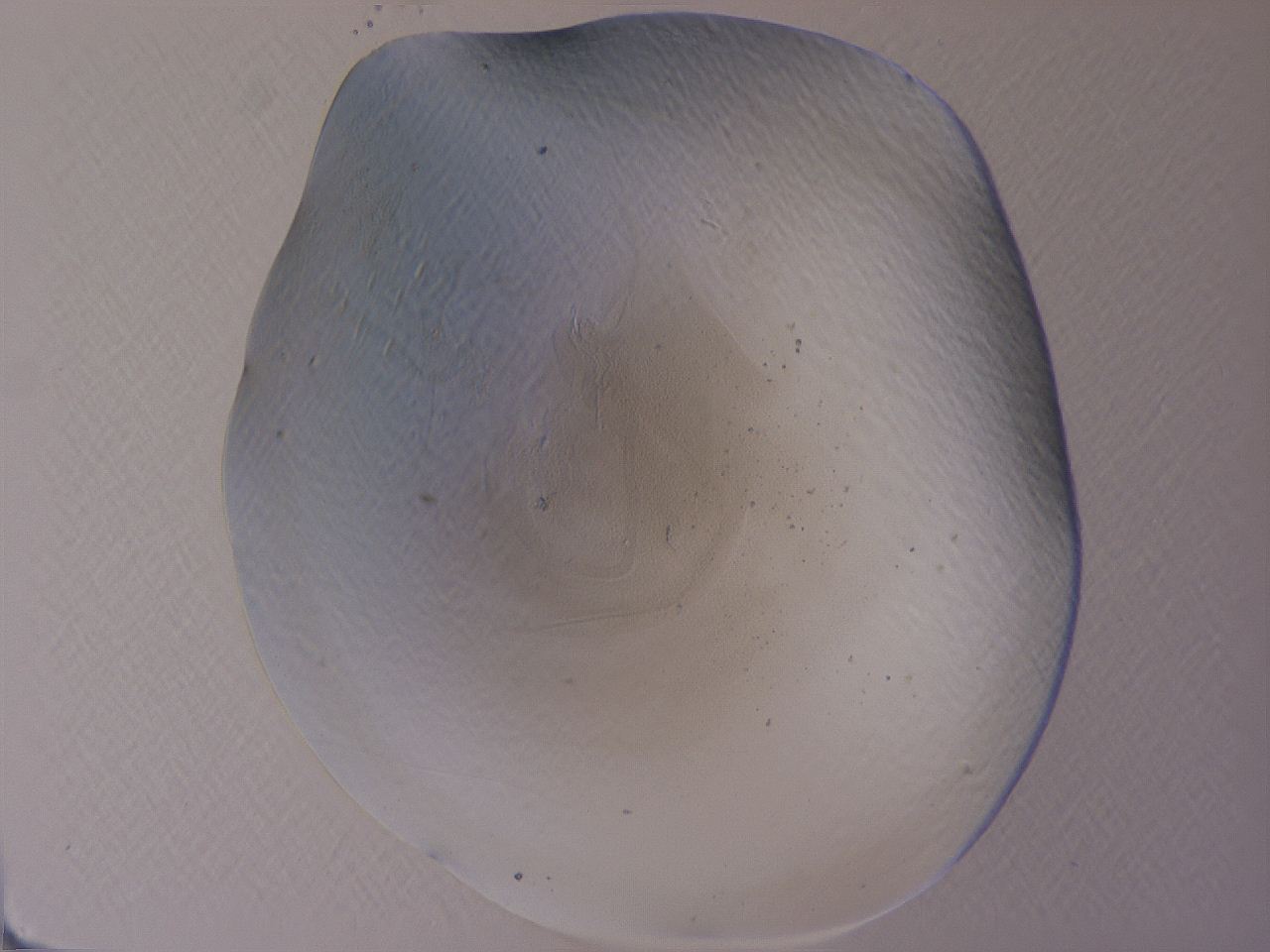 04cu_A2_ImagerDefaults_3.jpg