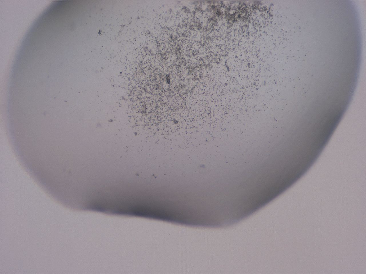 04cu_B10_ImagerDefaults_3.jpg