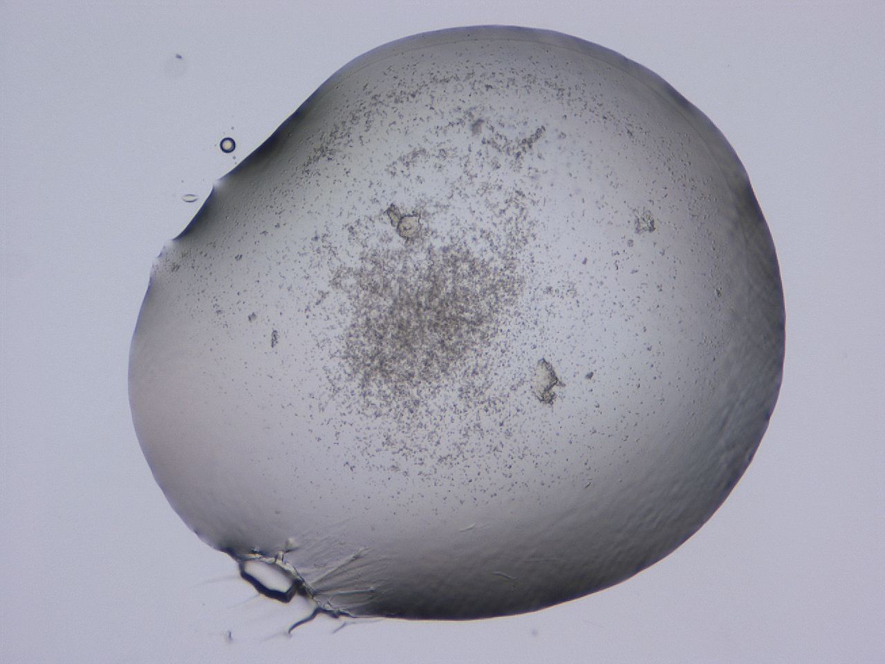 04cu_B11_ImagerDefaults_3.jpg