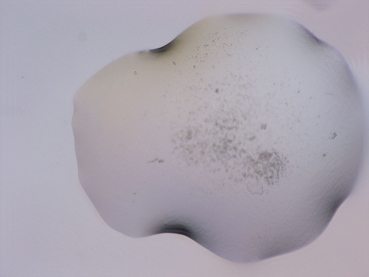 04cu_C6_ImagerDefaults_3.jpg