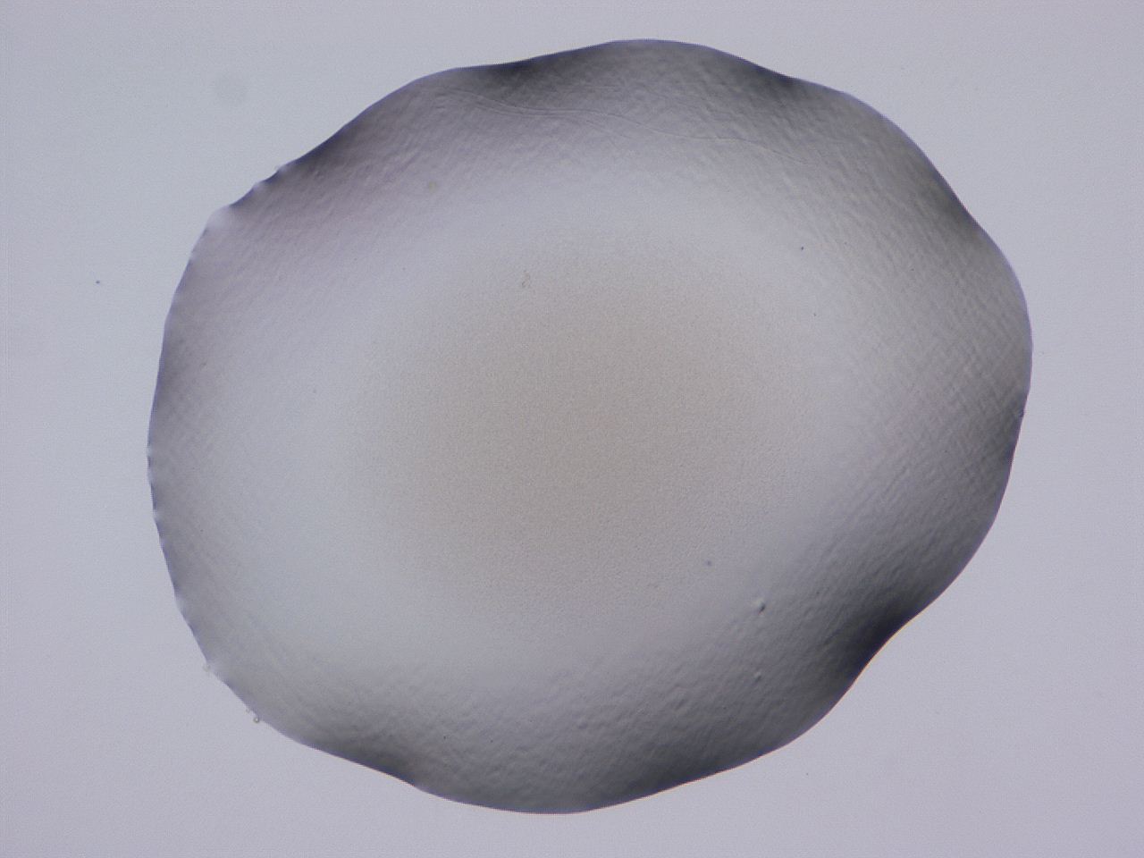 04cu_C8_ImagerDefaults_0.jpg