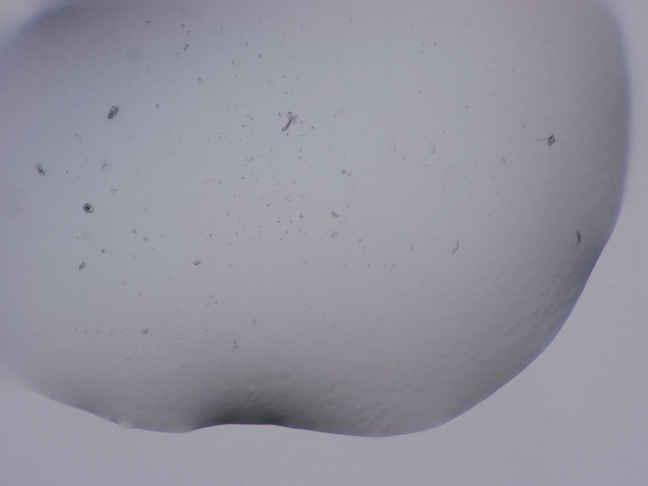 04cu_C12_ImagerDefaults_0.jpg