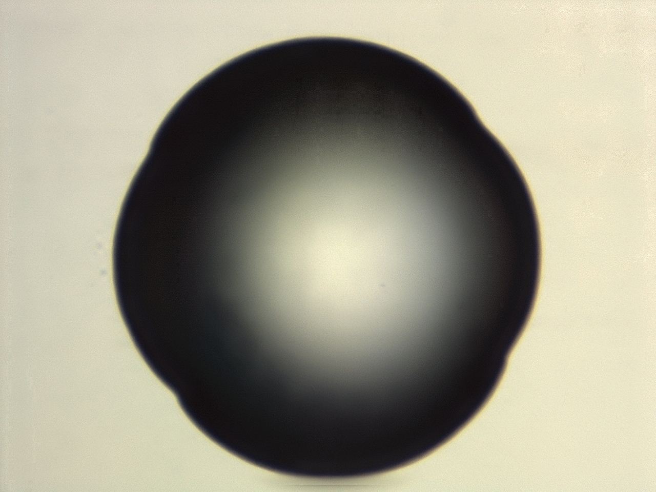 04em_G6_ImagerDefaults_0.jpg