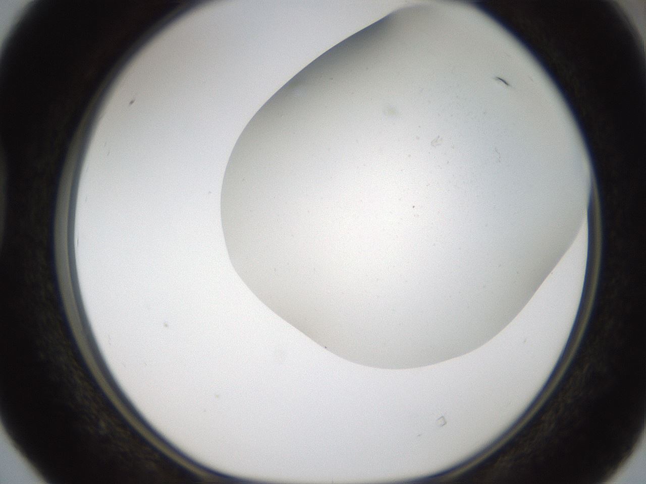 folderID93_plateID2093_batchID9340_wellNum40_profileID1_d1_r139569_ef.jpg