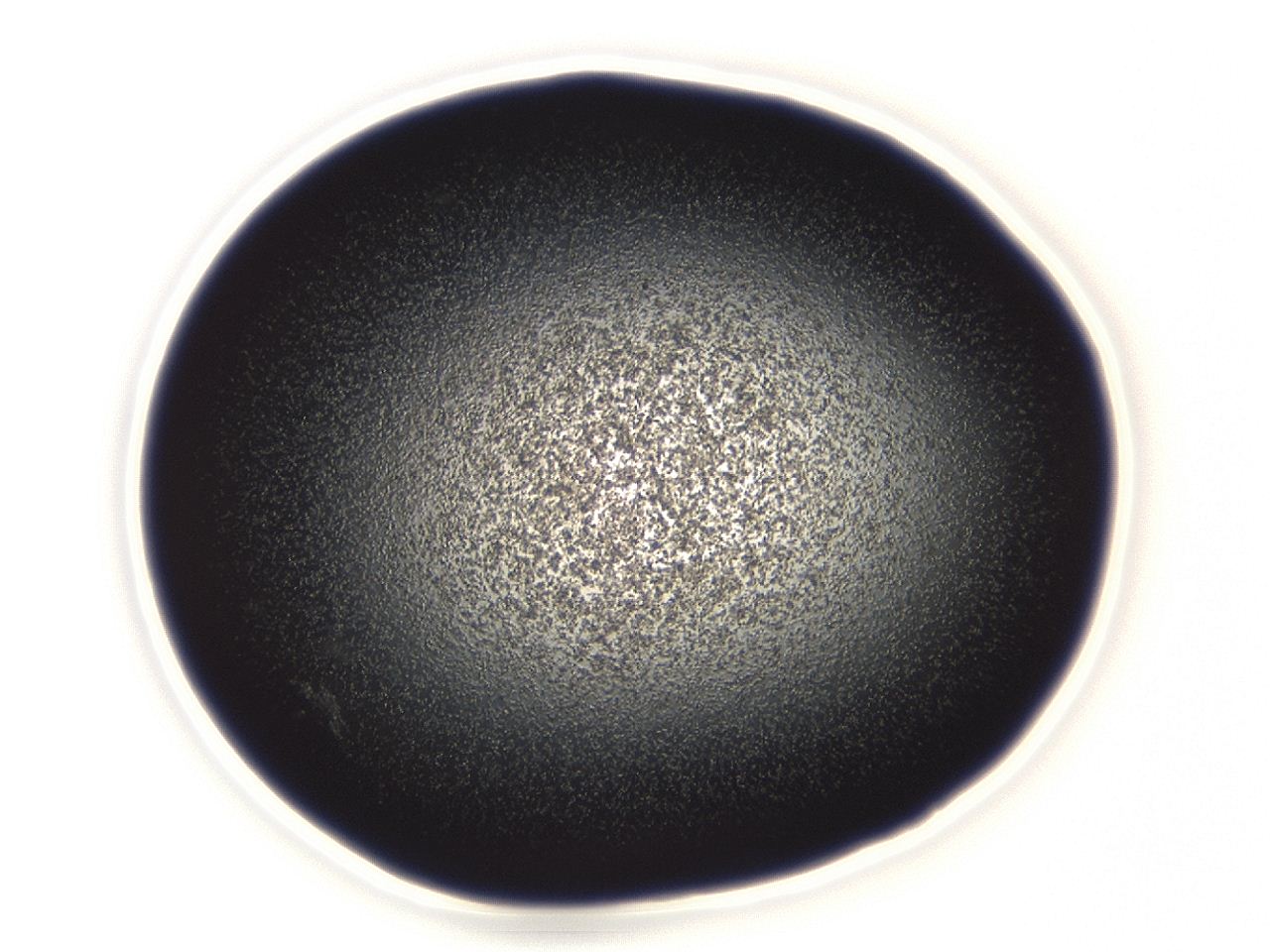 04em_A9_ImagerDefaults_3.jpg
