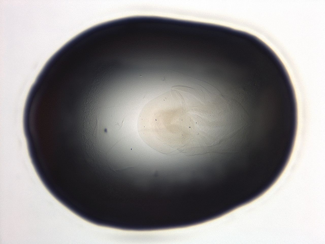 04em_A12_ImagerDefaults_3.jpg