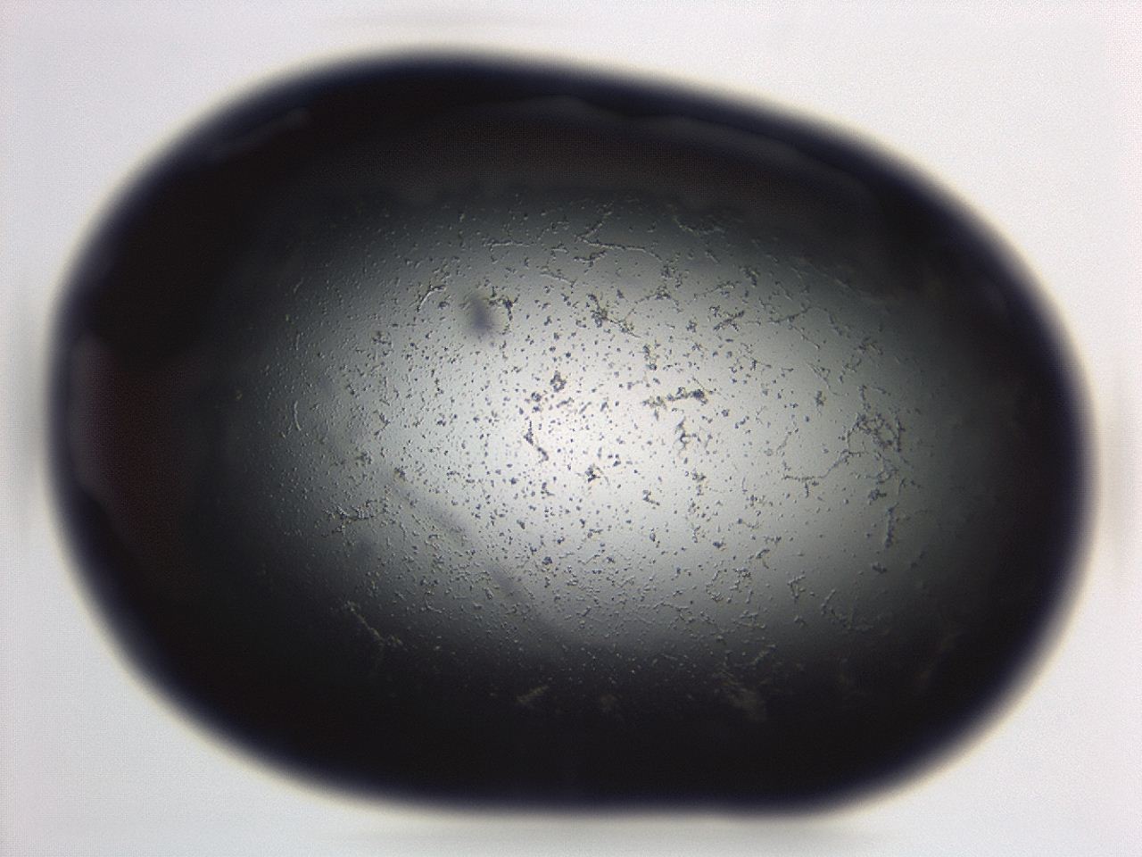 04em_D12_ImagerDefaults_3.jpg