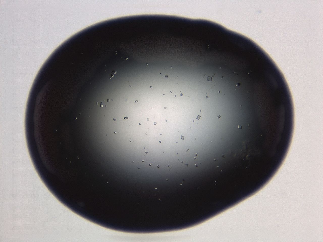 04em_B10_ImagerDefaults_0.jpg
